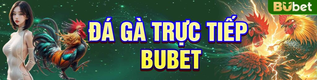 Đá Gà Trực Tiếp BuBet